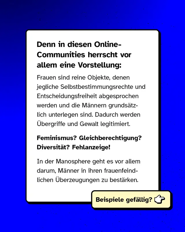Beschreibung der frauenfeindlichen Ideologie innerhalb der Communities: Frauen werden objektifiziert und Gleichberechtigung abgelehnt. Gewalt und &Uuml;bergriffe werden indirekt legitimiert. &Uuml;bergang zu Beispielen verschiedener Gruppen.
