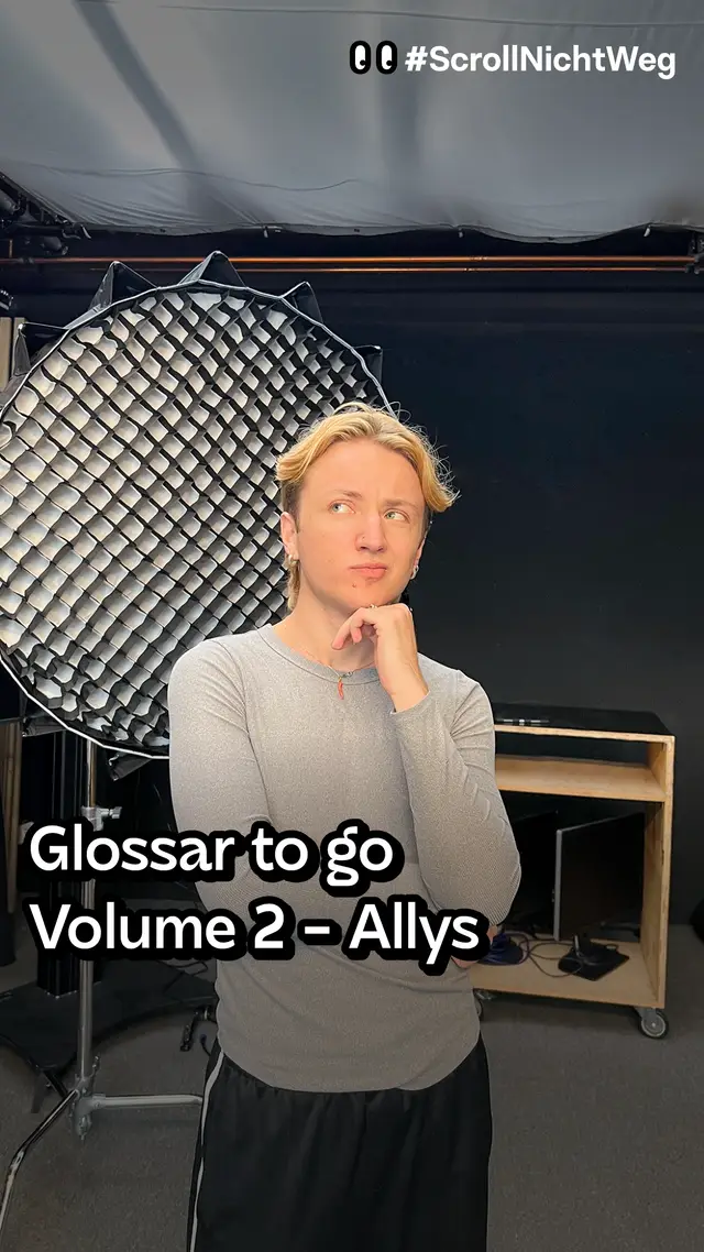Video: Glossar to go: Volume 2 - Allys