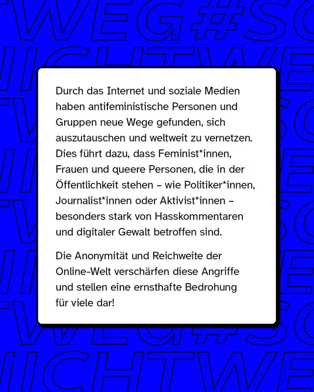 Durch das Internet und soziale Medien haben antifeministische Personen und Gruppen neue Wege gefunden, sich auszutauschen und weltweit zu vernetzen. Dies f&uuml;hrt dazu, dass Feminist*innen, Frauen und queere Personen, die in der &Ouml;ffentlichkeit stehen &ndash; wie Politiker*innen, Journalist*innen oder Aktivist*innen &ndash; besonders stark von Hasskommentaren und digitaler Gewalt betroffen sind.   Die Anonymit&auml;t und Reichweite der Online-Welt versch&auml;rfen diese Angriffe und stellen eine ernsthafte Bedrohung f&uuml;r viele dar!