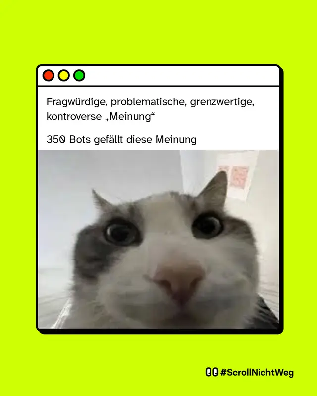 Ein Fenster zeigt den Text: „Fragwürdige, problematische, grenzwertige, kontroverse ‚Meinung‘. 350 Bots gefällt diese Meinung“. Darunter ein Foto einer Katze, die von sehr nah und von unten in die Kamera schaut.