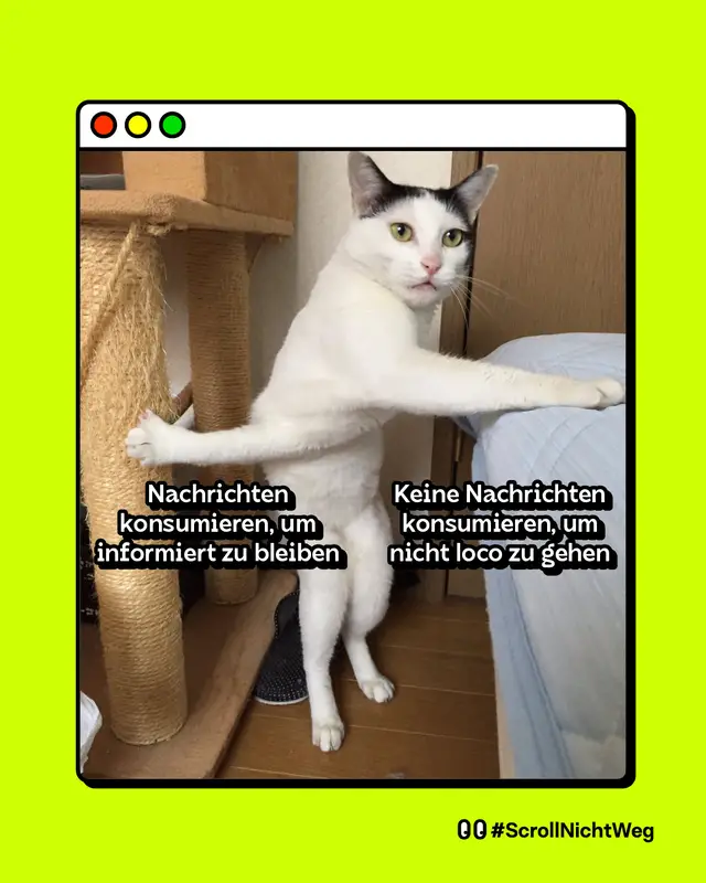 Meme: Eine schwarz-wei&szlig;e Katze steht auf den Hinterpfoten zwischen einem Kratzbaum links und einem Bett rechts und h&auml;lt mit den ausgestreckten Vorderpfoten beide Seiten fest, als w&uuml;rde sie zwischen zwei Optionen hin- und hergerissen sein. Auf der linken Seite steht der Text: &bdquo;Nachrichten konsumieren, um informiert zu bleiben&ldquo;. Auf der rechten Seite steht: &bdquo;Keine Nachrichten konsumieren, um nicht loco zu gehen&ldquo;. Thematik: humorvolle Darstellung des inneren Konflikts zwischen Informationsbed&uuml;rfnis und mentaler Belastung durch Nachrichten.